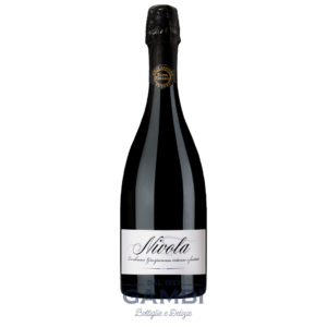 Lambrusco Grasparossa Nivola Cleto Chiarli 75 cl / Enoteca Gambi