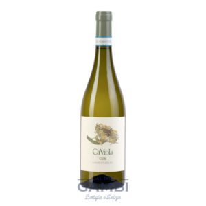 Langhe Riesling Clem 2017 Ca Viola Magnum 150 cl / Enoteca Gambi