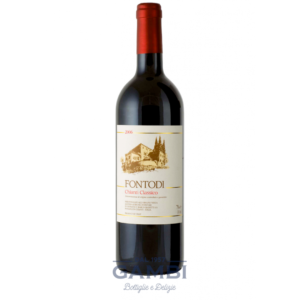 Chianti Classico 2019 Fontodi 75 cl
