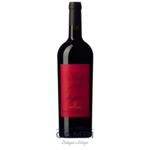 Rosso di Montalcino Pian delle Vigne 2020 Antinori 75 cl / Enoteca Gambi
