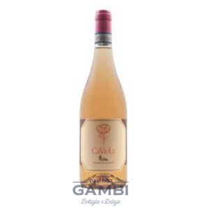 Langhe Rosato Rita 2021 Ca Viola 75 cl / Enoteca Gambi