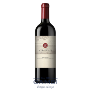Bolgheri 2019 Tenuta Meraviglia 75 cl / Enoteca Gambi