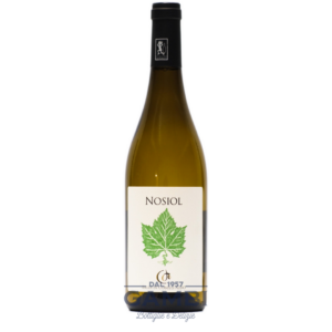 Vigneti delle Dolomiti IGT Nosiola 2020 Eredi di Cobelli Aldo 75 cl / Enoteca Gambi