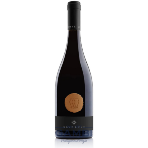 Orange Ruhk Piwi Nove Lune 75 cl / Enoteca Gambi