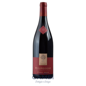 Pinot noir 2019 Pommier 75 cl / Enoteca Gambi