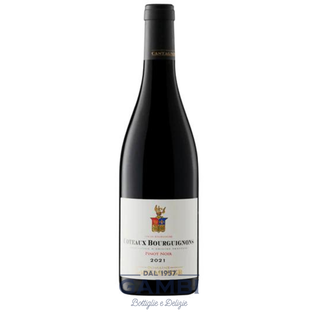 Pinot Noir Coteaux Bourguignons 2021 Domaine Castagnier 75 cl / Enoteca Gambi