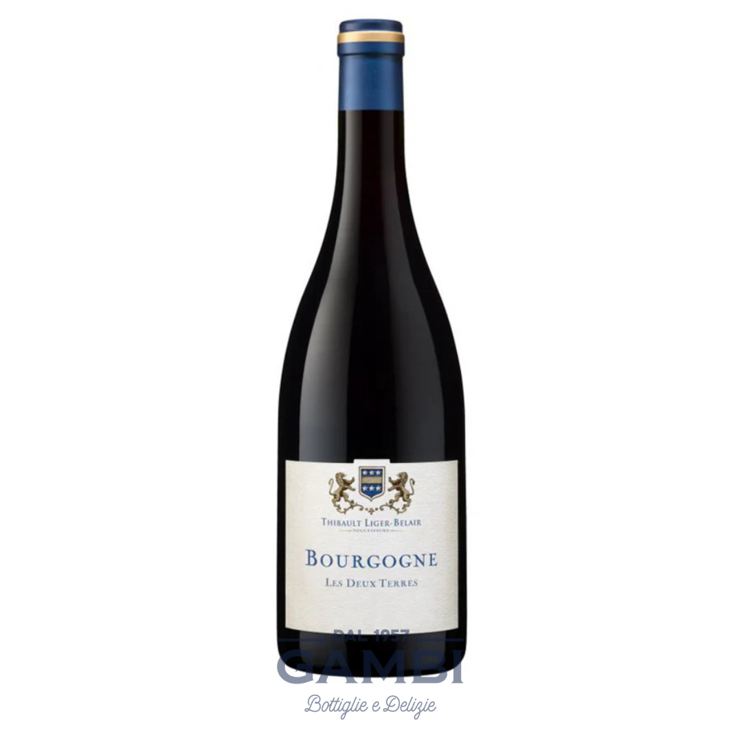 Les Deux Terres 2020 Thibault Liger-Belair 75 cl / Enoteca Gambi