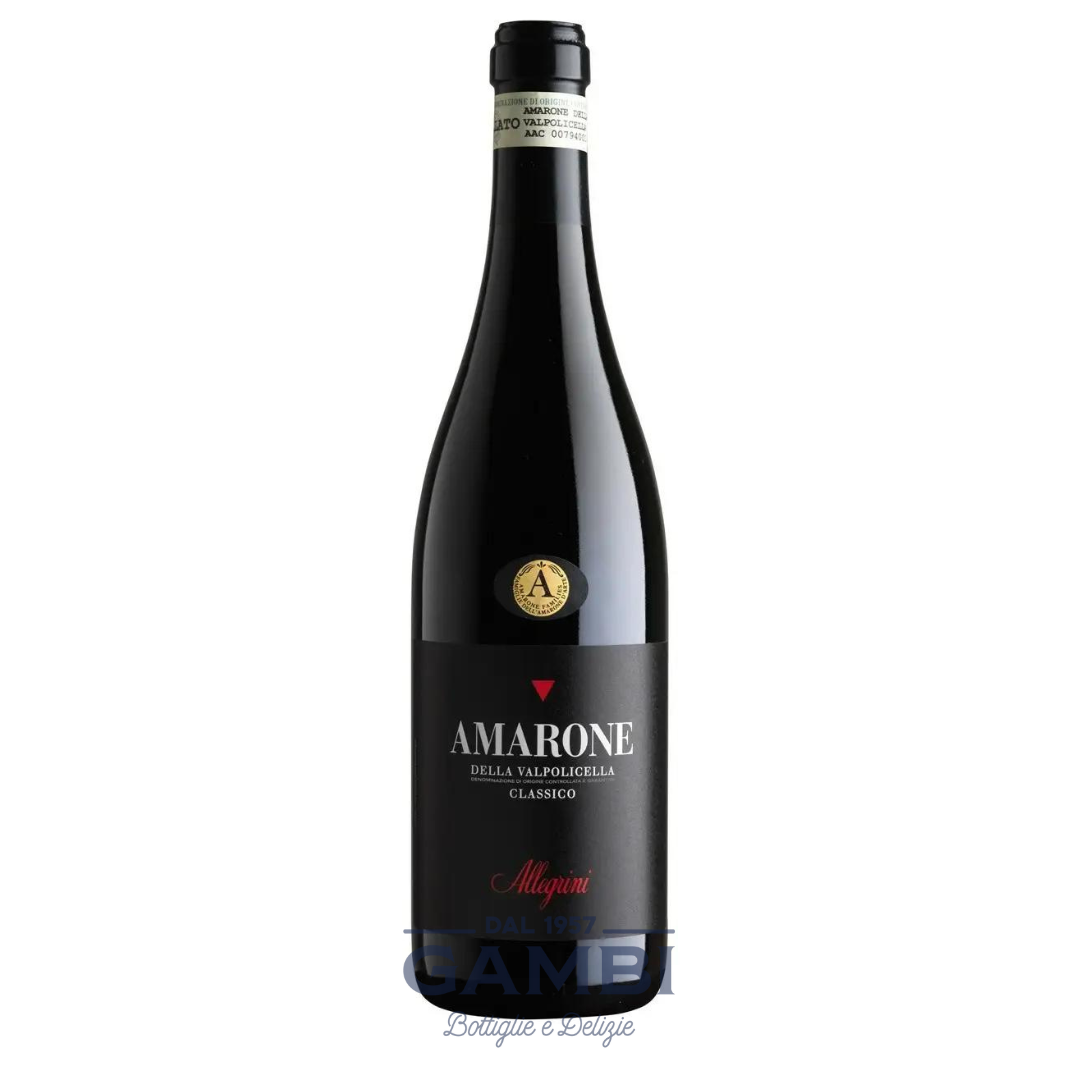 Amarone della Valpolicella Classico 2019 Allegrini 75 cl / Enoteca Gambi