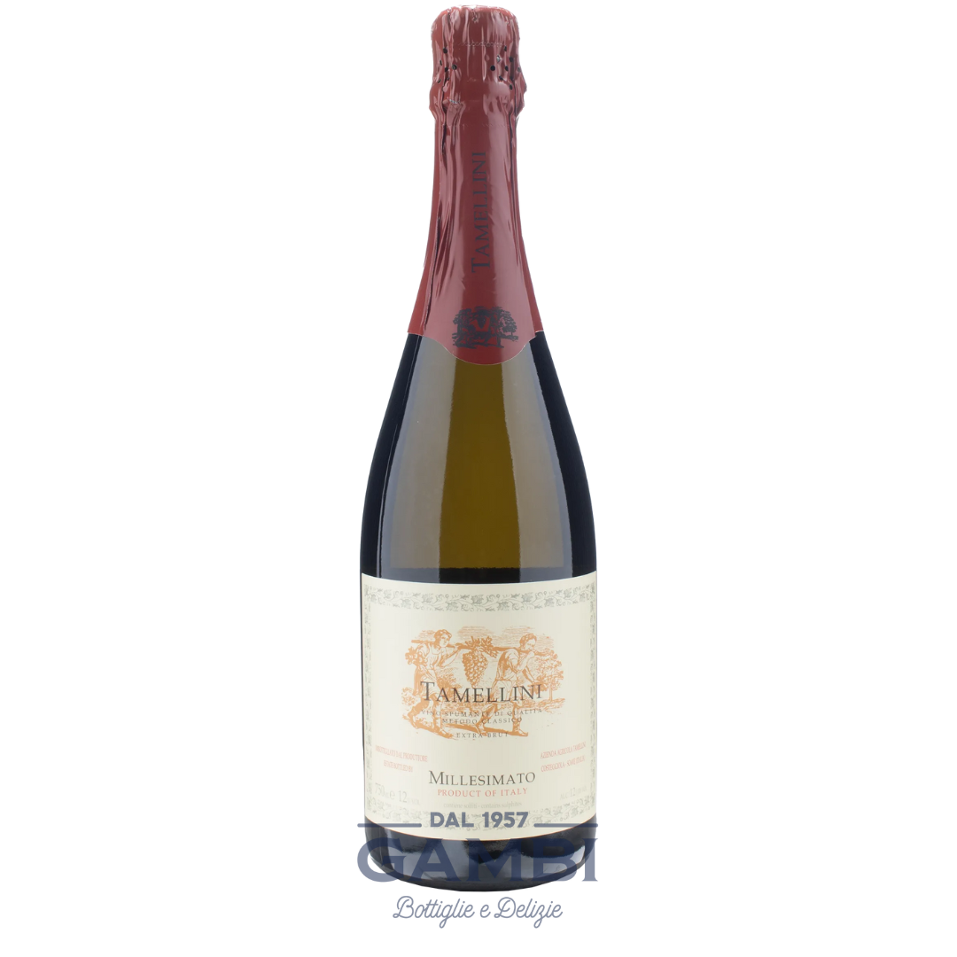 Spumante Metodo Classico Extra Brut 2020 Tamellini 75 cl / Enoteca Gambi