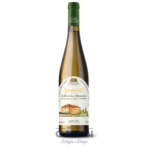 Vermentino Colli di Luni DOC Groppolo 2023 Il Monticello 75 cl / Enoteca Gambi
