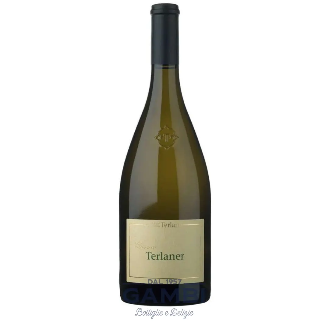 Alto Adige DOC Terlaner 2023 Terlan 75 cl / Enoteca Gambi