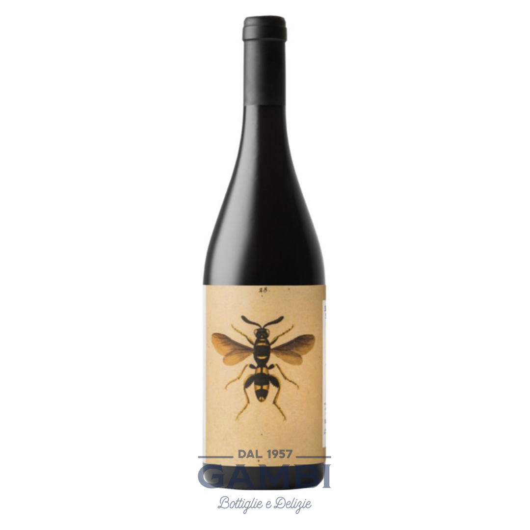Sangiovese di Romagna Superiore 'Il Sangiovese' 2022 Noelia Ricci / Enoteca Gambi