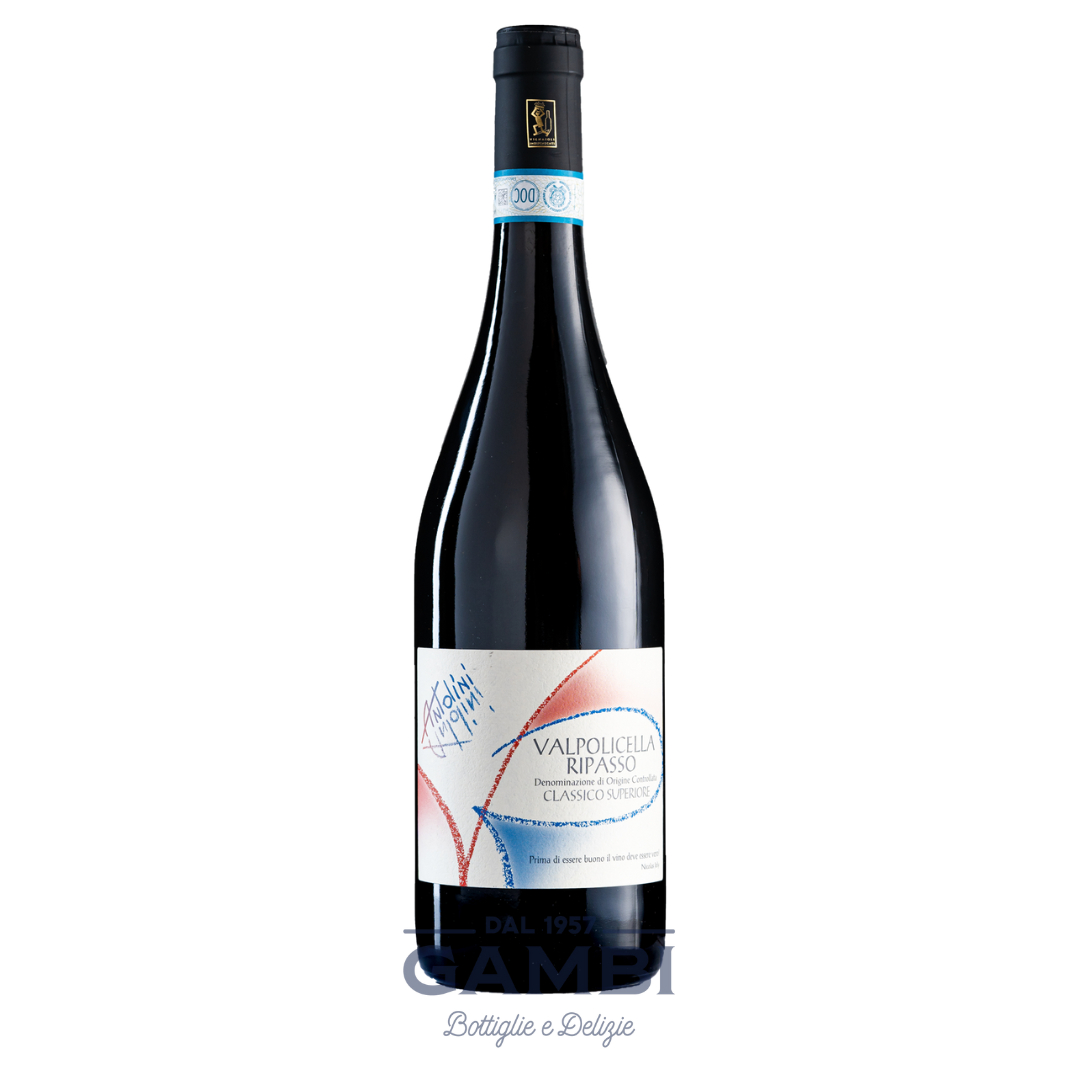 Valpolicella Ripasso Classico Superiore 2021 Antolini 75 cl / Enoteca Gambi