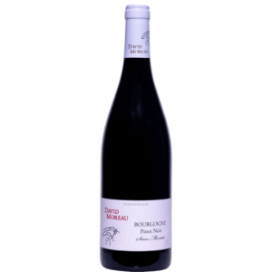 David Moreau Bourgogne Rouge “Sous Montot” 2022 75 cl / Enoteca Gambi