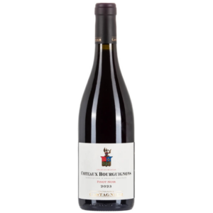 Domaine Castagnier Coteaux Bourguignons Pinot Noir 2023 75 cl / Enoteca Gambi