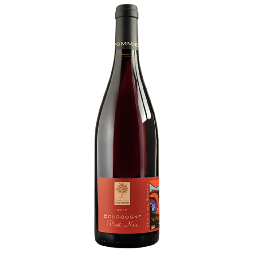 Pommier Grain de Survie Pinot Noir 2022 75 cl / Enoteca Gambi