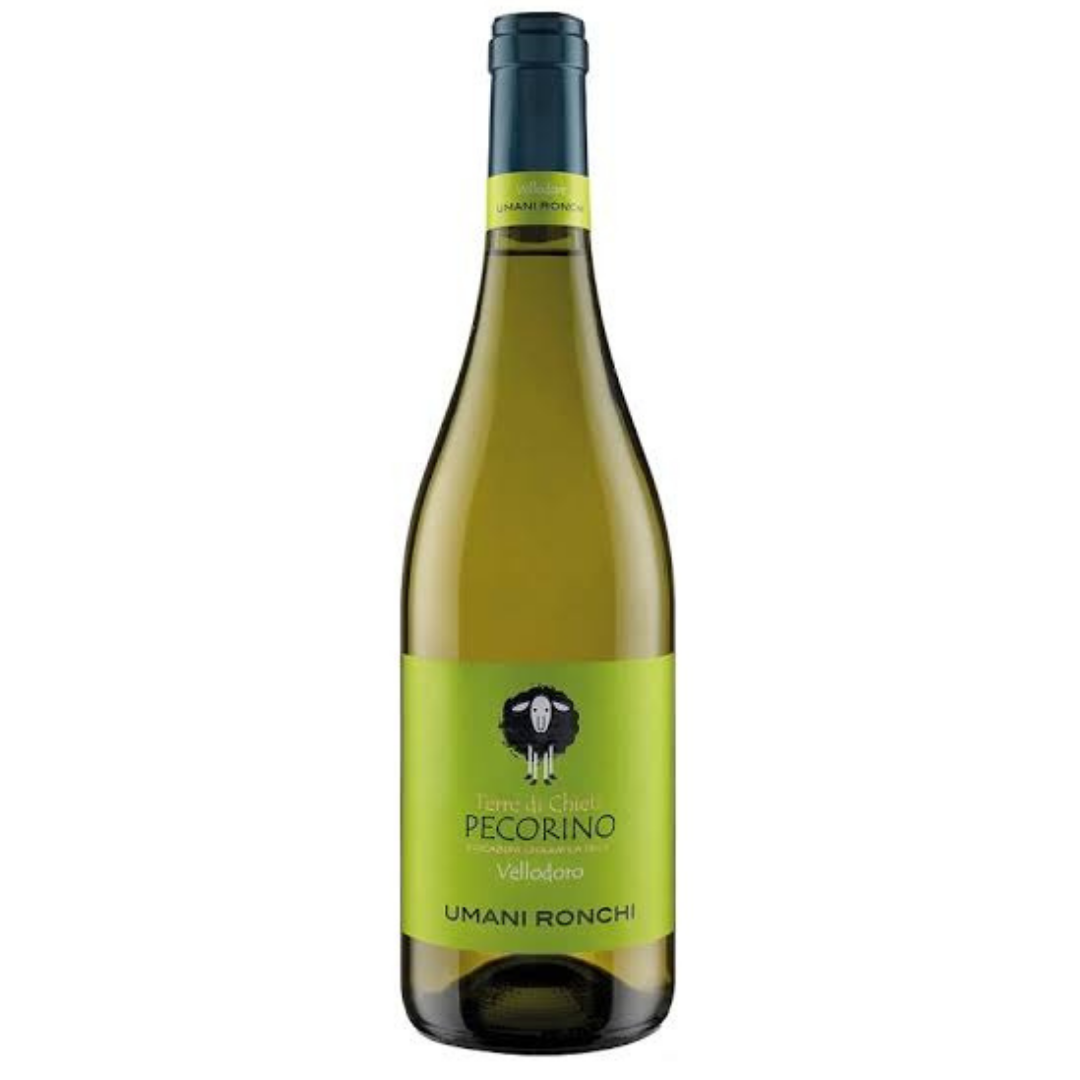Vellodoro Pecorino 2025 Umani Ronchi 75 cl / Enoteca Gambi